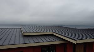 Best Metal Roofing Installation  in Eagle, CO